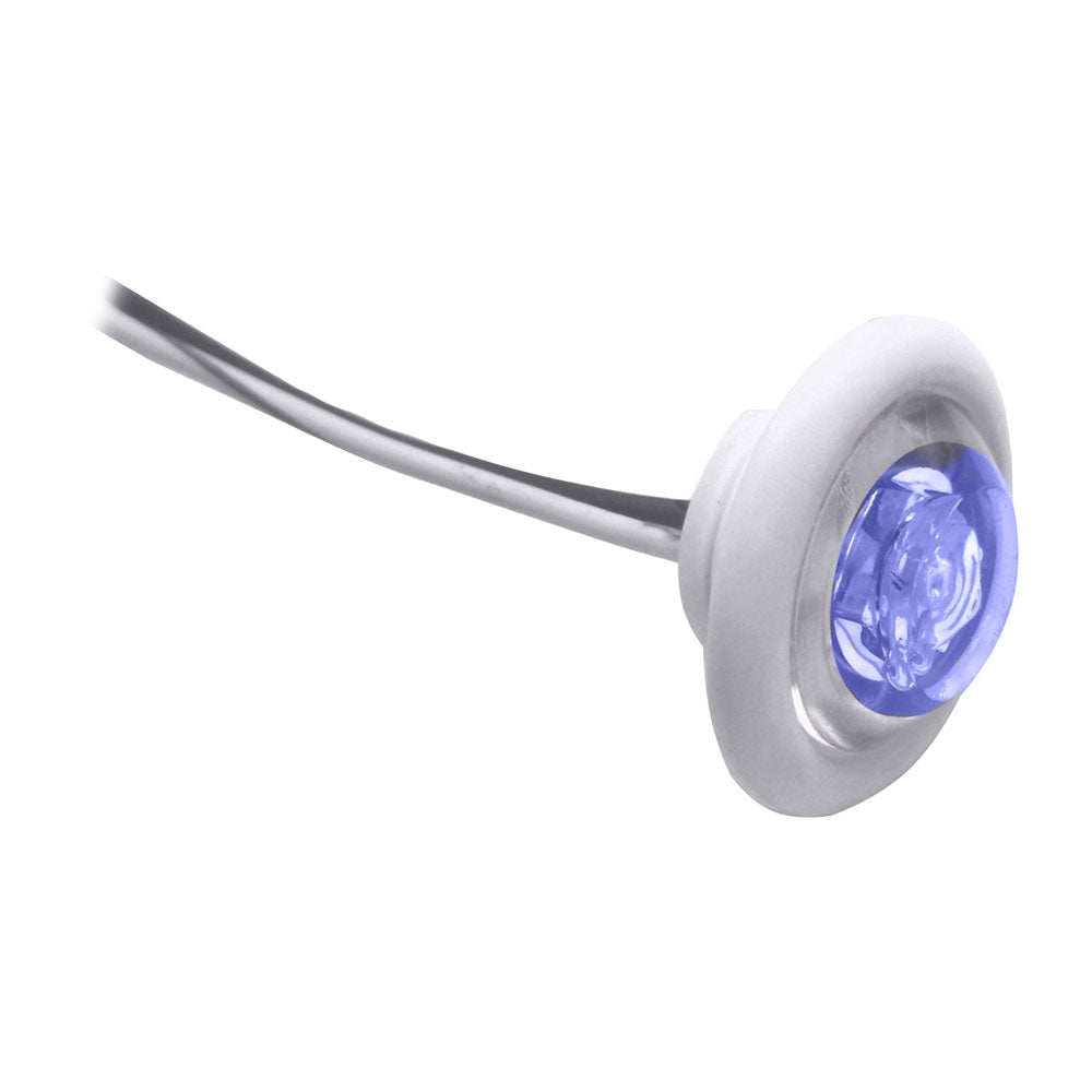 Innovative Lighting LED Bulkhead/Livewell Light "The Shortie" Blue LED w/ White Grommet [011-2540-7] - First Stop Marine