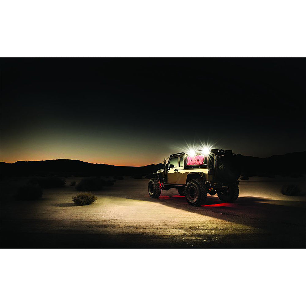 RIGID Industries 2x10 115 DC Scene Light Black - White LED [68131] - First Stop Marine